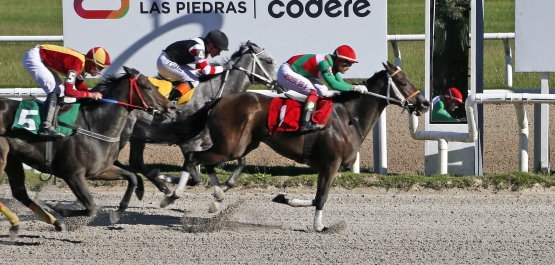 PREFERENCIAL MUNICIPIO DE LAS PIEDRAS