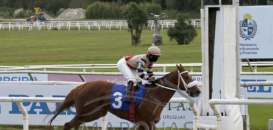 Sábado 9 de mayo de 2026 - Hipódromo Nacional de Maroñas