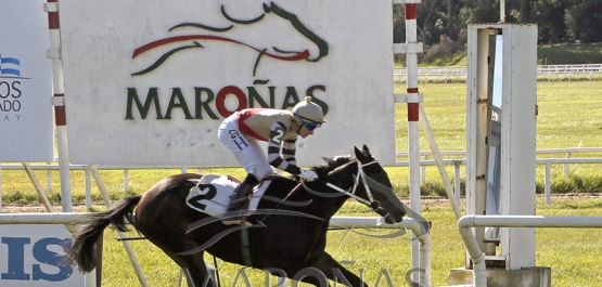 Domingo 10 de mayo de 2026 - Hipódromo Nacional de Maroñas