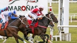 _I7V3829.JPG