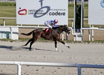 GRAN PREMIO REAPERTURA HIPÓDROMO LAS PIEDRAS