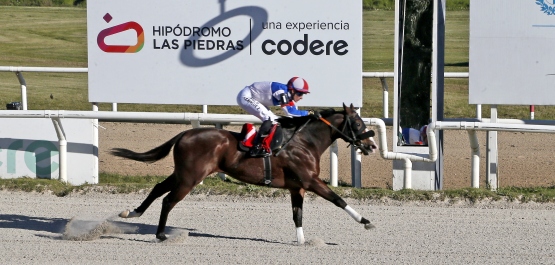 GRAN PREMIO REAPERTURA HIPÓDROMO LAS PIEDRAS