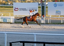 GRAN PREMIO BATALLA DE LAS PIEDRAS
