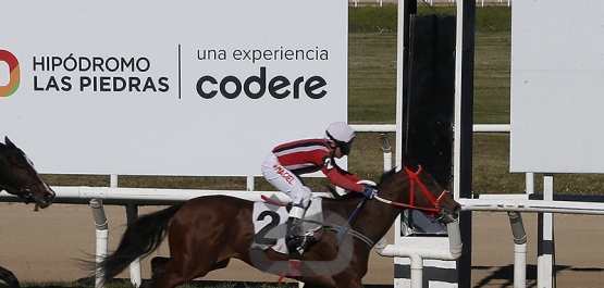 Sábado 23 de mayo de 2026 - Hipódromo Las Piedras