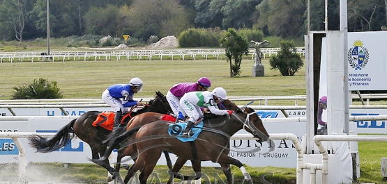 Domingo 24 de mayo de 2026 - Hipódromo Nacional de Maroñas