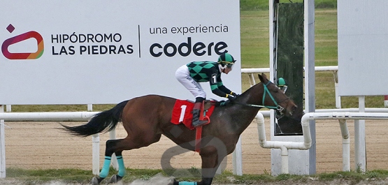 Viernes 29 de mayo de 2026 - Hipódromo Las Piedras