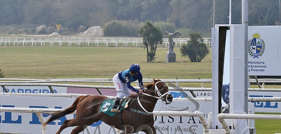 Domingo 31 de mayo de 2026 - Hipódromo Nacional de Maroñas