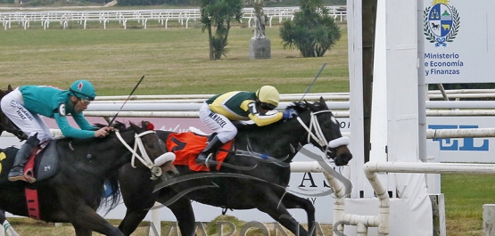 Domingo 28 de junio de 2026 - Hipódromo Nacional de Maroñas