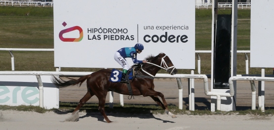 CLÁSICO CAMPEONES JUVENILE SPRINT HLP