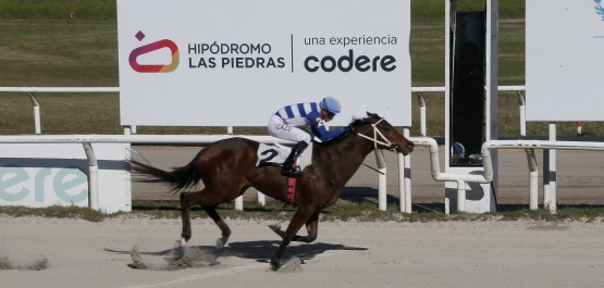 CLÁSICO CAMPEONES JUVENILE FILLIES HLP