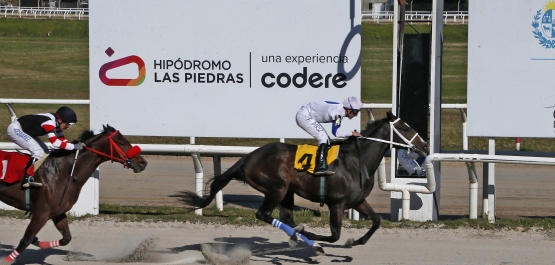 CLÁSICO CAMPEONES JUVENILE HLP