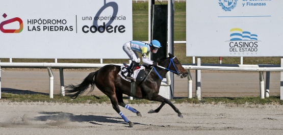 CLÁSICO CAMPEONES DISTAFF HLP