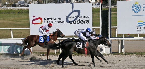 CLÁSICO CAMPEONES CLASSIC HLP