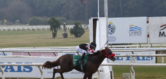 CLÁSICO REAPERTURA HIPODROMO NACIONAL DE MAROÑAS