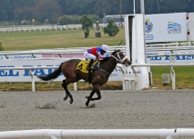 GRAN PREMIO GRAN CRITERIUM (POTRILLOS)