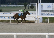 GRAN PREMIO CRITERIUM (POTRANCAS)