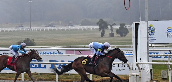 CLÁSICO AGRACIADA