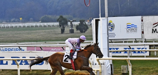CLÁSICO ASOC. URU. DE PROPIETARIOS DE CABALLOS DE CARRERA