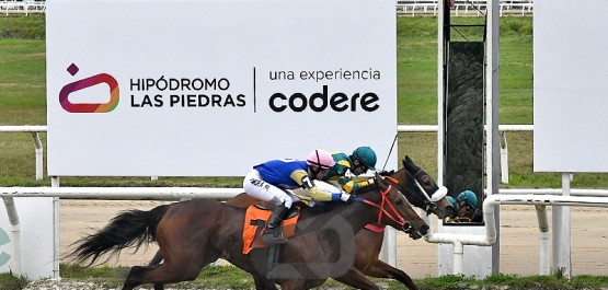 Viernes 31 de julio - Hipódromo Las Piedras