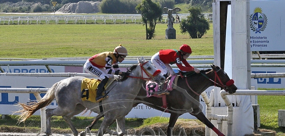 Domingo 2 agosto de 2026 - Hipódromo Nacional de Maroñas