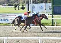 Viernes 7 de agosto de 2026 - Hipódromo Nacional de Maroñas