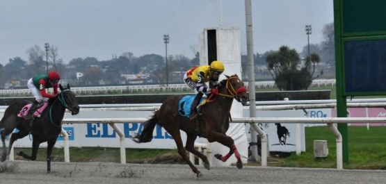 Domingo 16 de agosto de 2026 - Hipódromo Nacional de Maroñas
