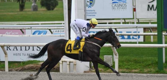Lunes 17 de agosto de 2026 - Hipódromo Nacional de Maroñas