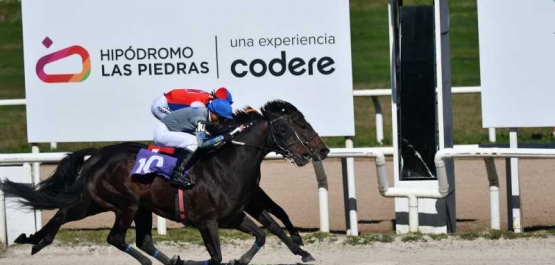 Sábado 22 de agosto de 2026 - Hipódromo Las Piedras