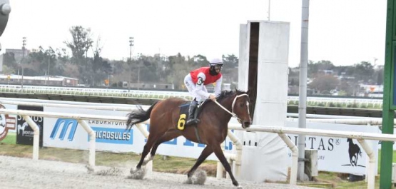 Domingo 23 de agosto de 2026 - Hipódromo Nacional de Maroñas
