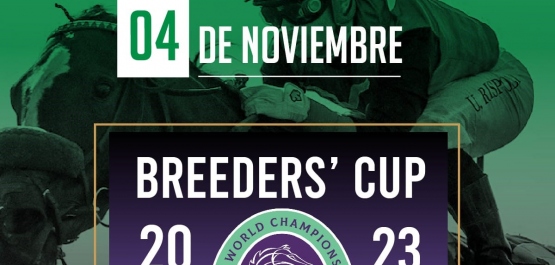 Breeders Cup 2023